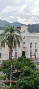 ELECCIONES PLURIPERSONALES